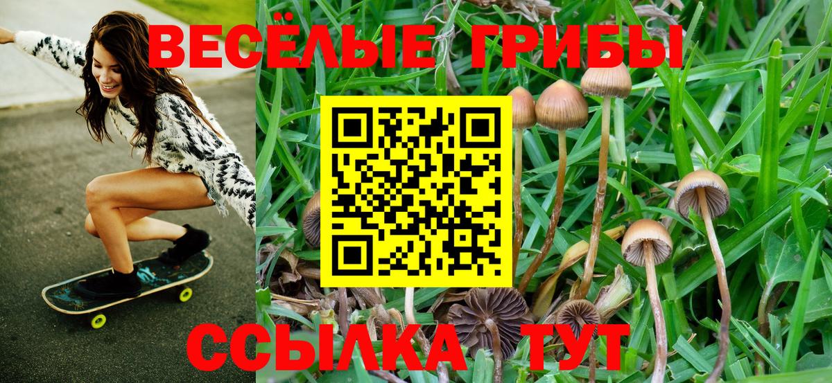 Галлюциногенные грибы прущие грибы Чапаевск